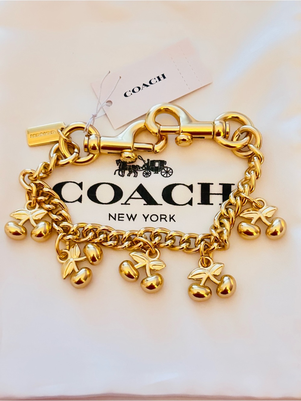 Coach Cherries Swag Bag Charm